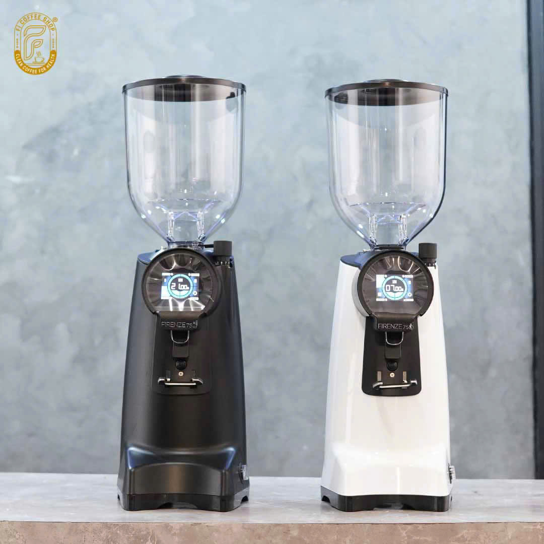 Máy xay cà phê Eureka Firenze 75 – Hàng nhập khẩu Italia - Ảnh 3