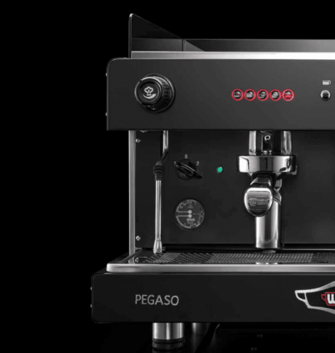 Combo máy pha cà phê Wega Pegaso A1 Group + Máy xay cà phê Fiorenzato F64E version 2 - Ảnh 8