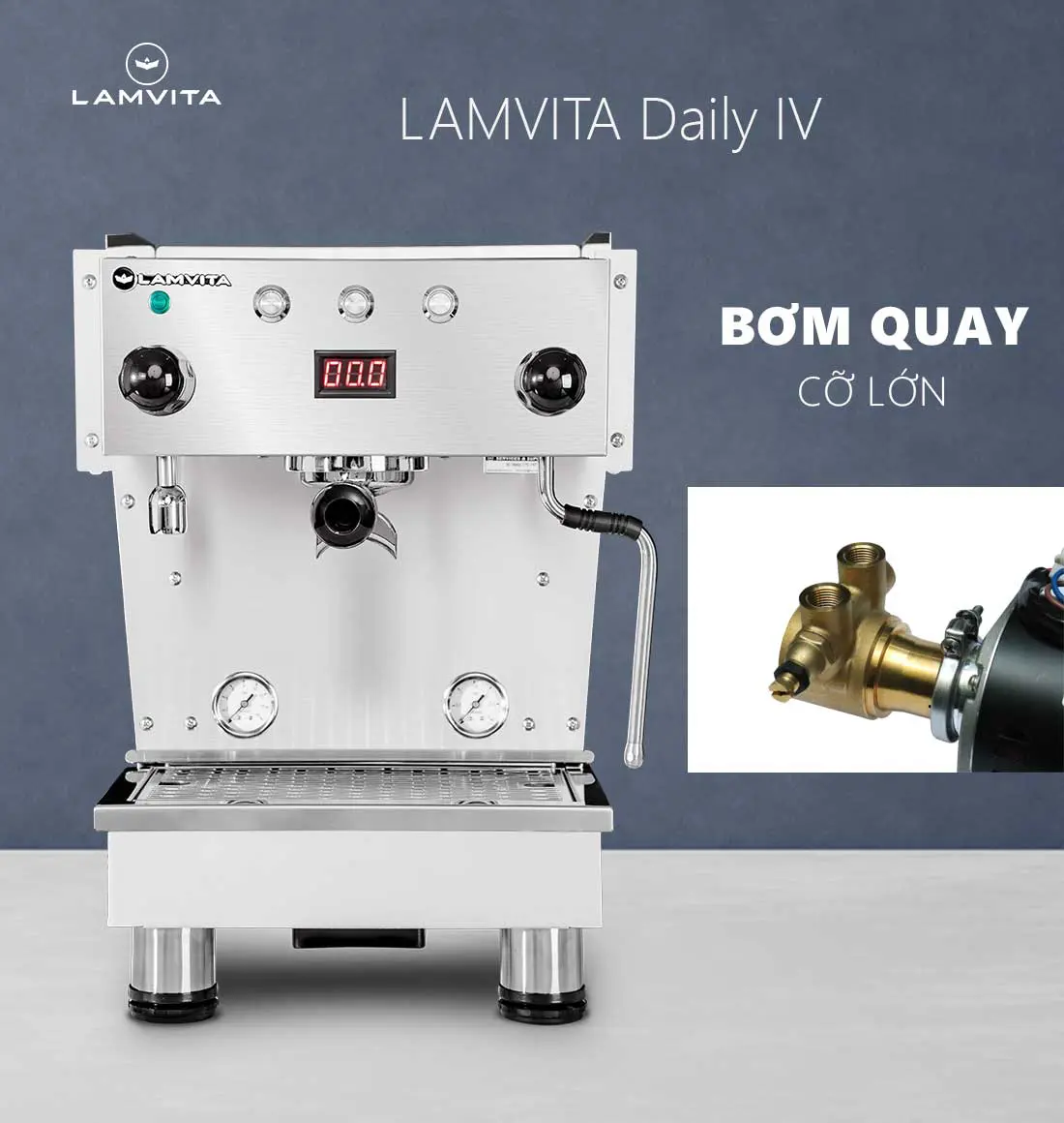 LAMVITA Daily IV - Ảnh 2