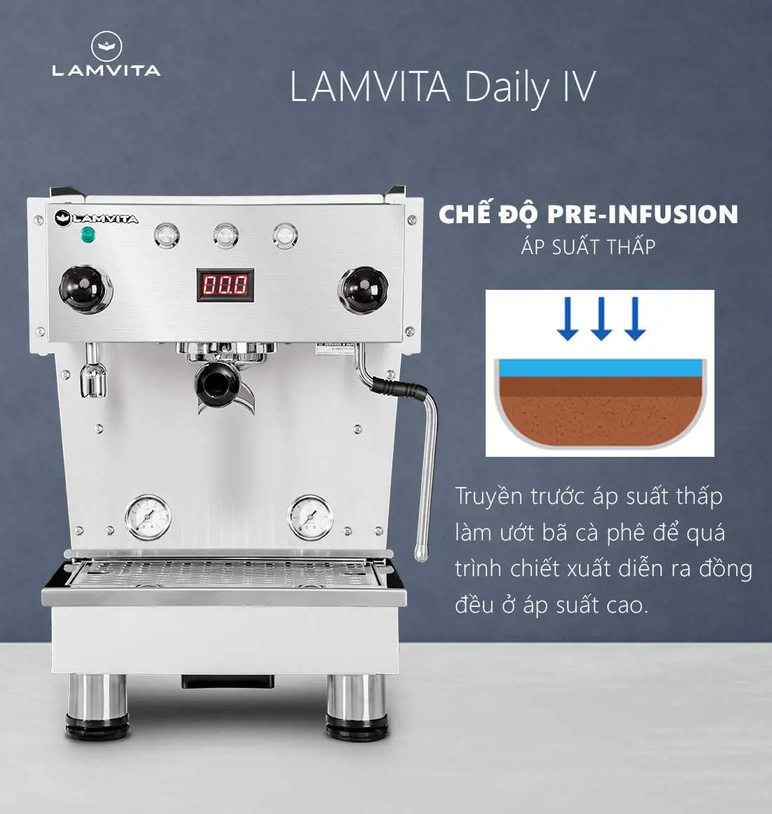 LAMVITA Daily IV - Ảnh 8