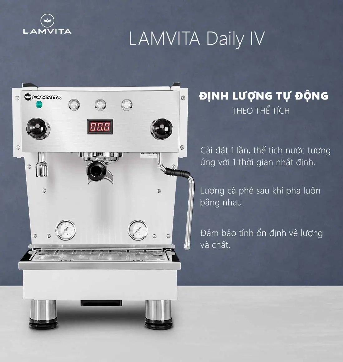 LAMVITA Daily IV - Ảnh 7