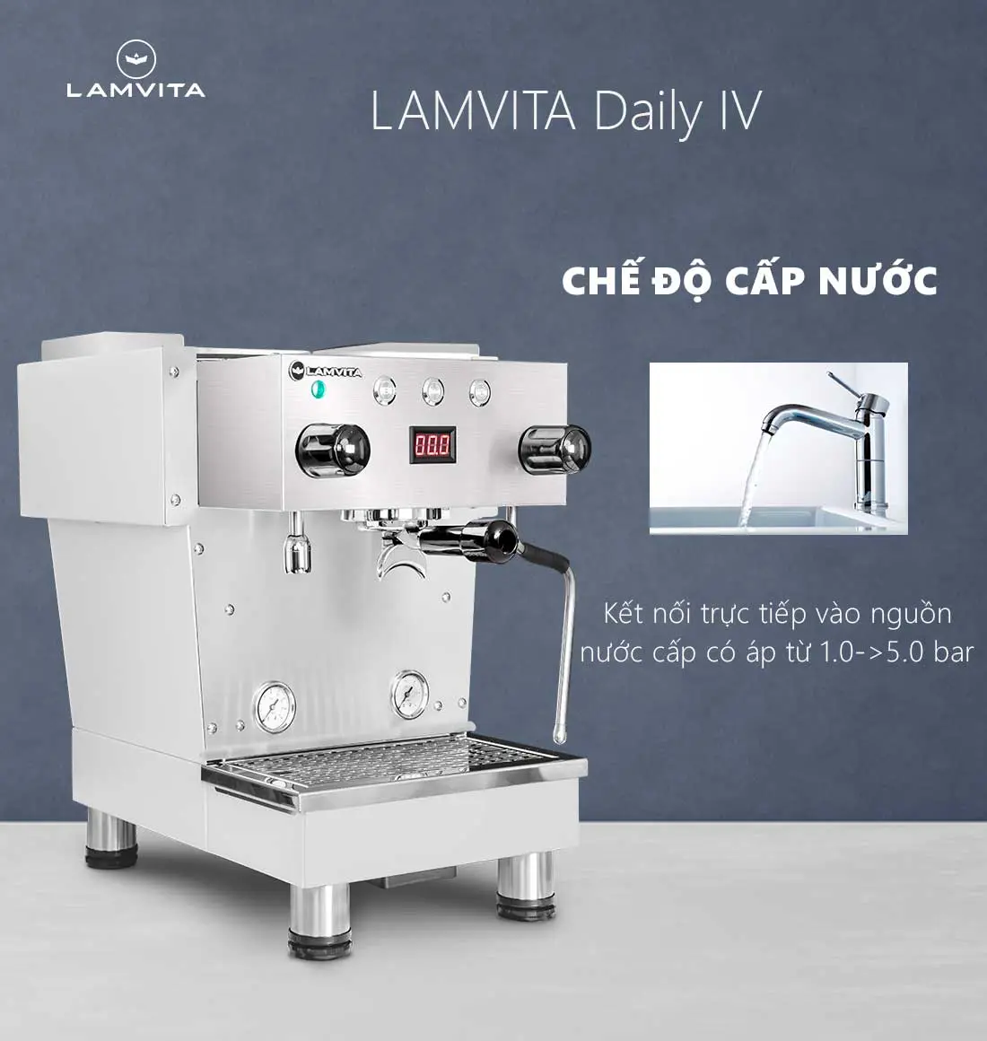 LAMVITA Daily IV - Ảnh 4
